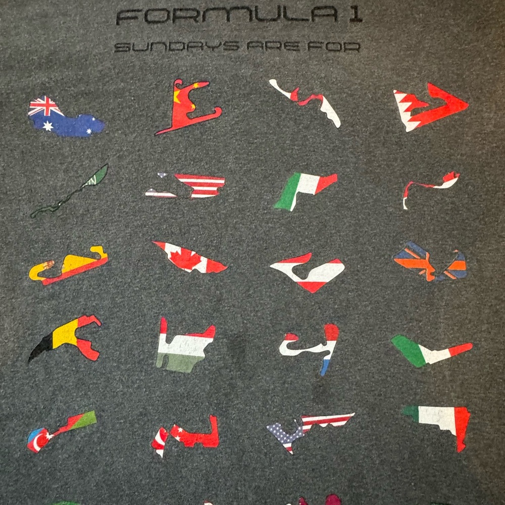 FORMULA 1 “ Sundays are For” Gray Graphic T-Shirt